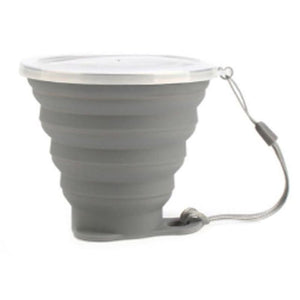 Collapsible Cup